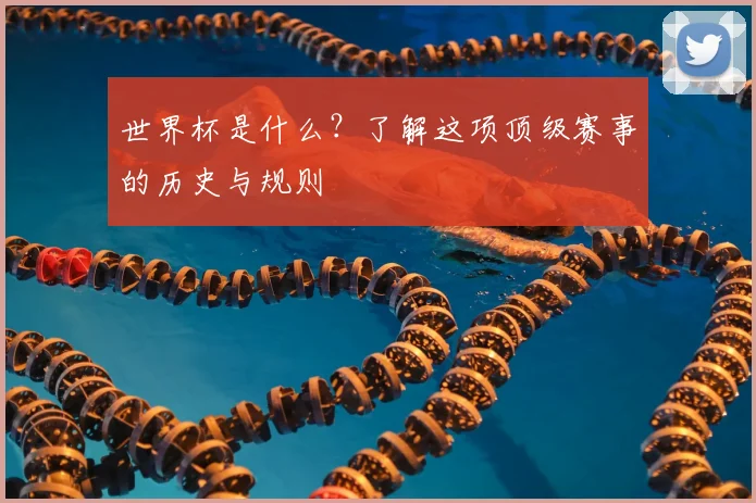 世界杯是什么？了解这项顶级赛事的历史与规则